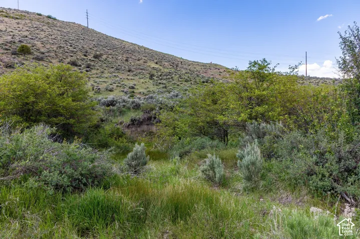 6325 N Elk Ridge Rd, Peoa, Utah 84061