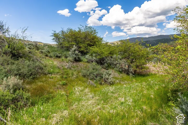 6325 N Elk Ridge Rd, Peoa, Utah 84061