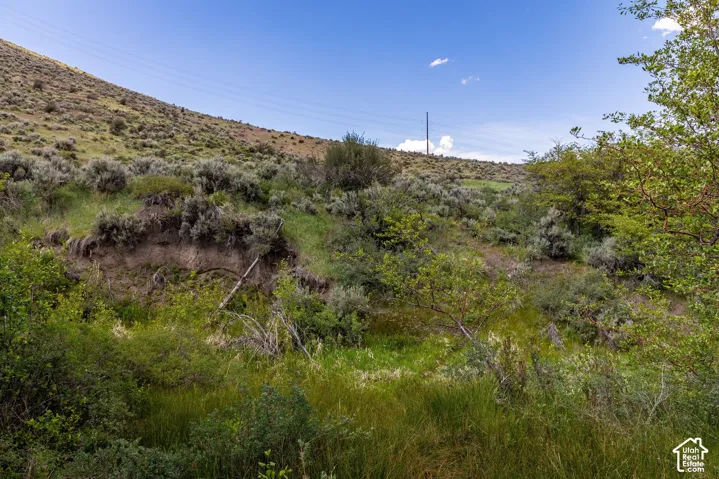 6325 N Elk Ridge Rd, Peoa, Utah 84061