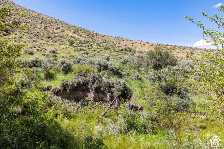 6325 N Elk Ridge Rd, Peoa, Utah 84061