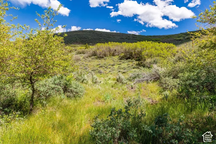 6325 N Elk Ridge Rd, Peoa, Utah 84061