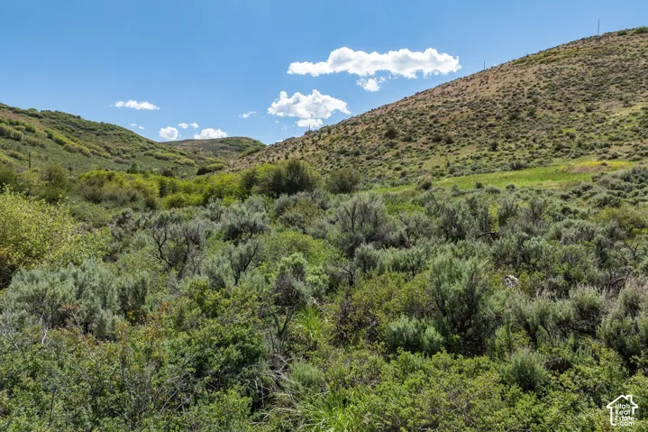 6325 N Elk Ridge Rd, Peoa, Utah 84061