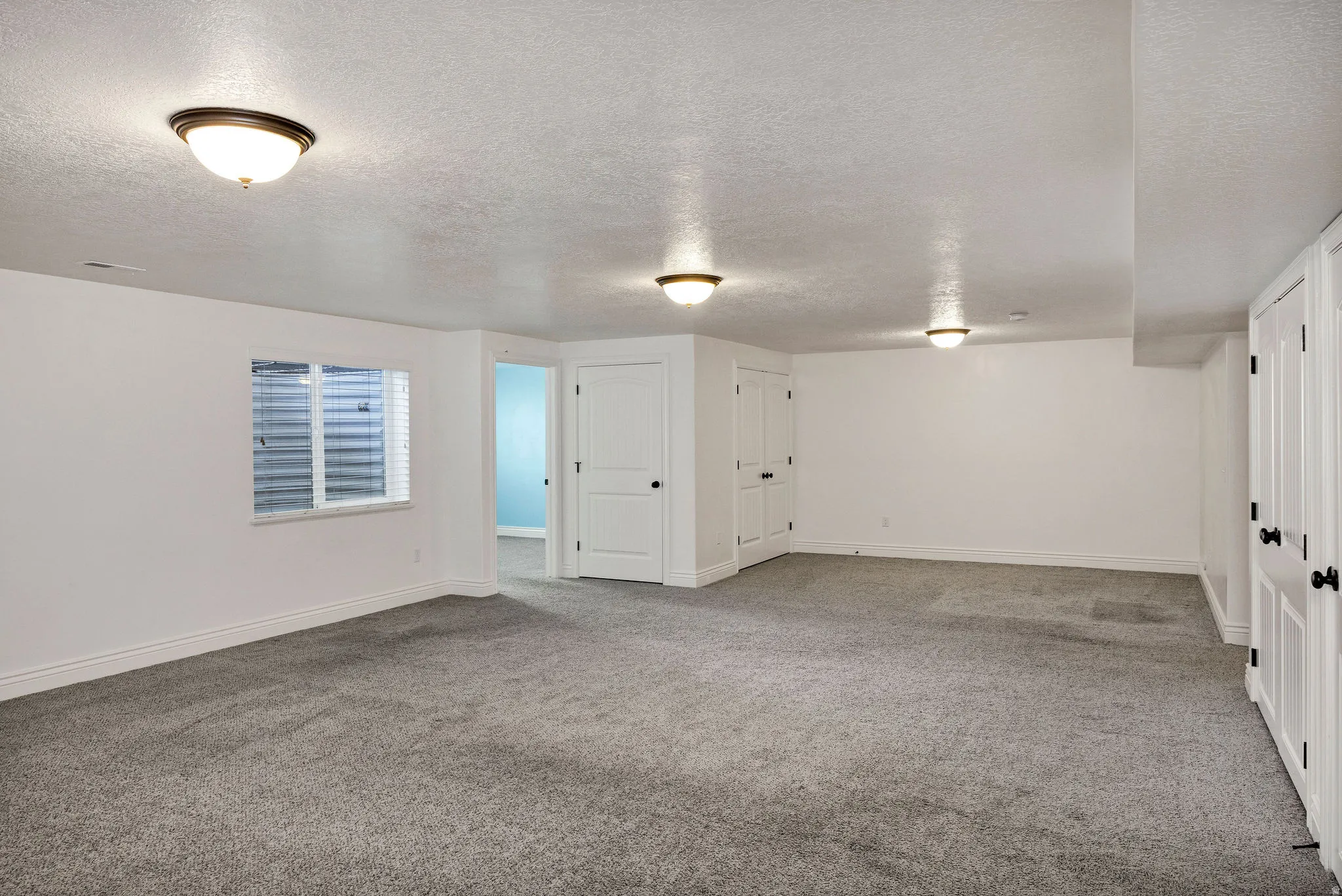 Basement featuring carpet flooring and closets
