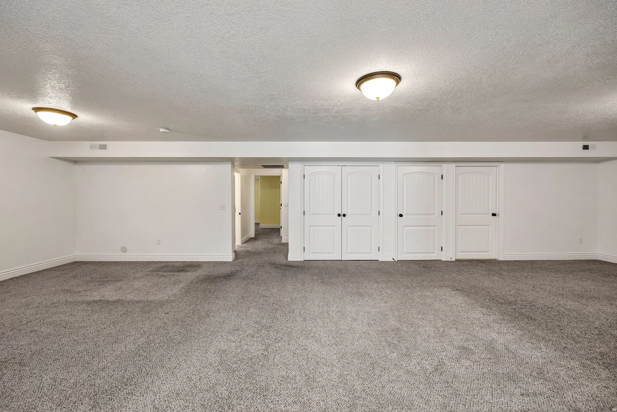 Basement featuring carpet flooring and closets