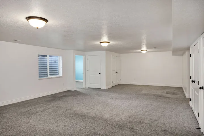 Basement featuring carpet flooring and closets