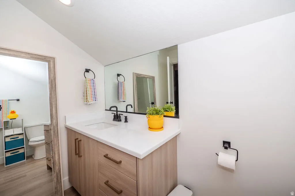 Bathroom featuring vanity, lofted ceiling, and wood finished floors