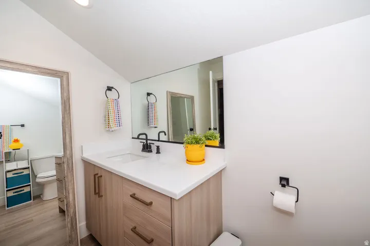 Bathroom featuring vanity, lofted ceiling, and wood finished floors