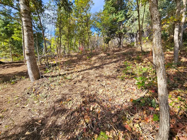 View of undeveloped land