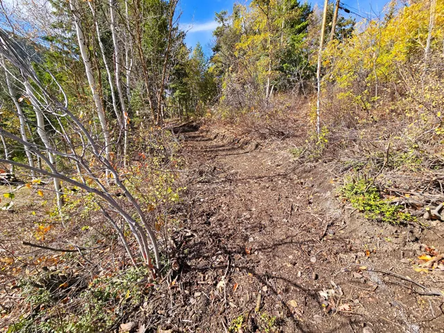 View of undeveloped land