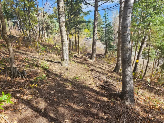 View of undeveloped land