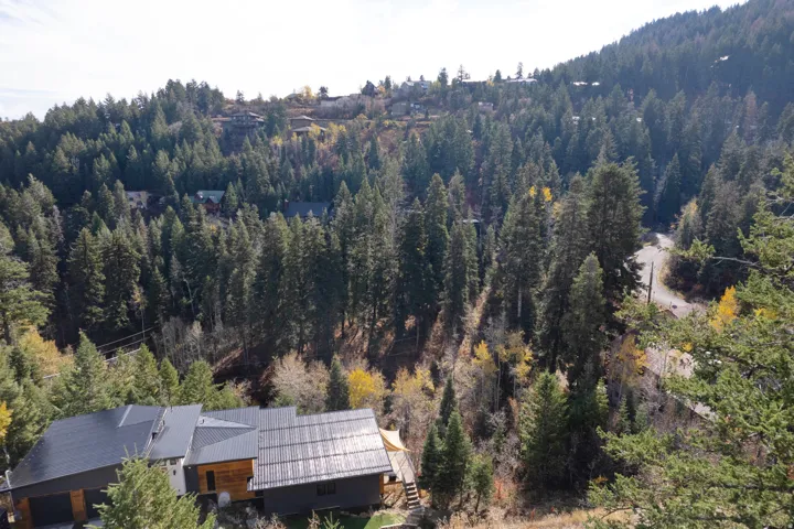 Drone / aerial view of a forest