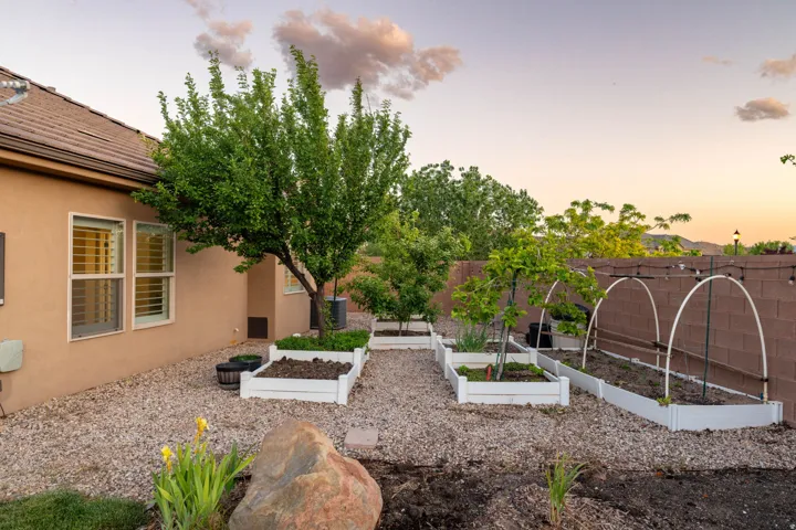Backyard - Garden Area