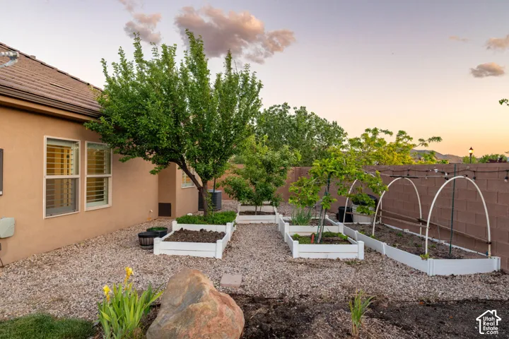Backyard - Garden Area