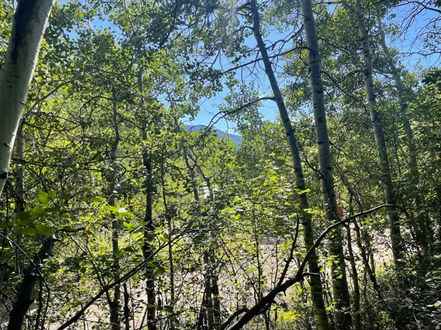 View from lot