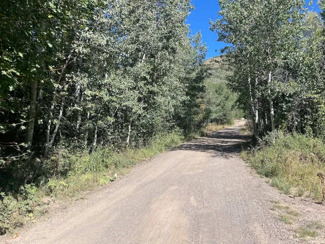 View of dirt / gravel road