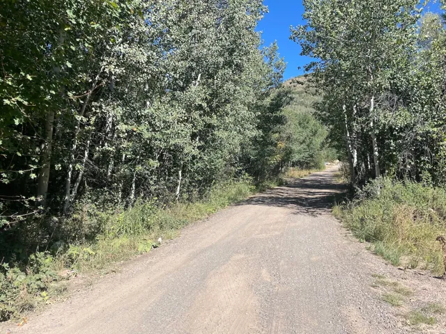 View of dirt / gravel road