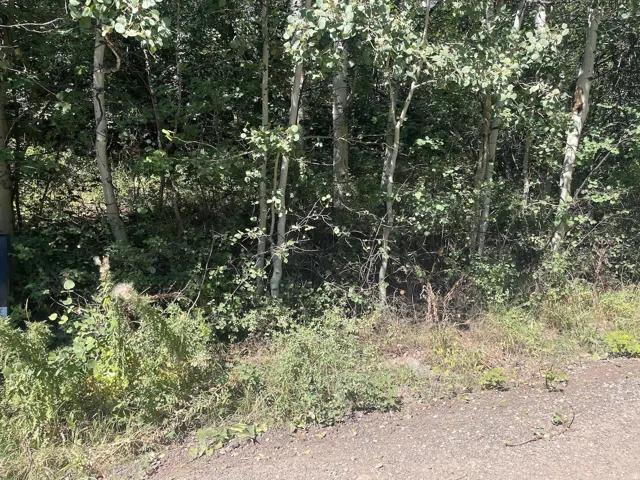 View of lot