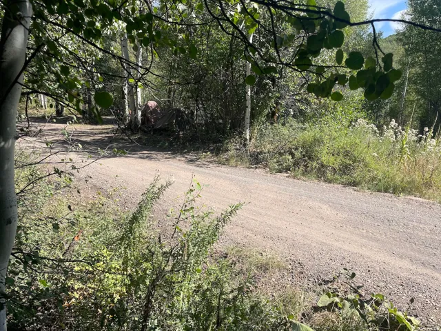 View of dirt / gravel road