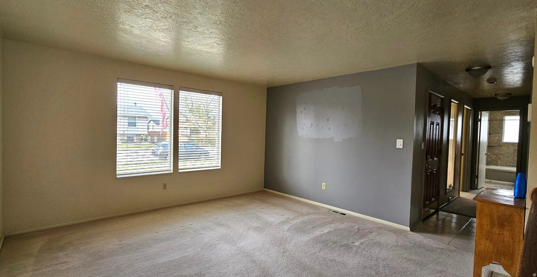 Spare room with a textured ceiling, healthy amount of natural light, and light carpet