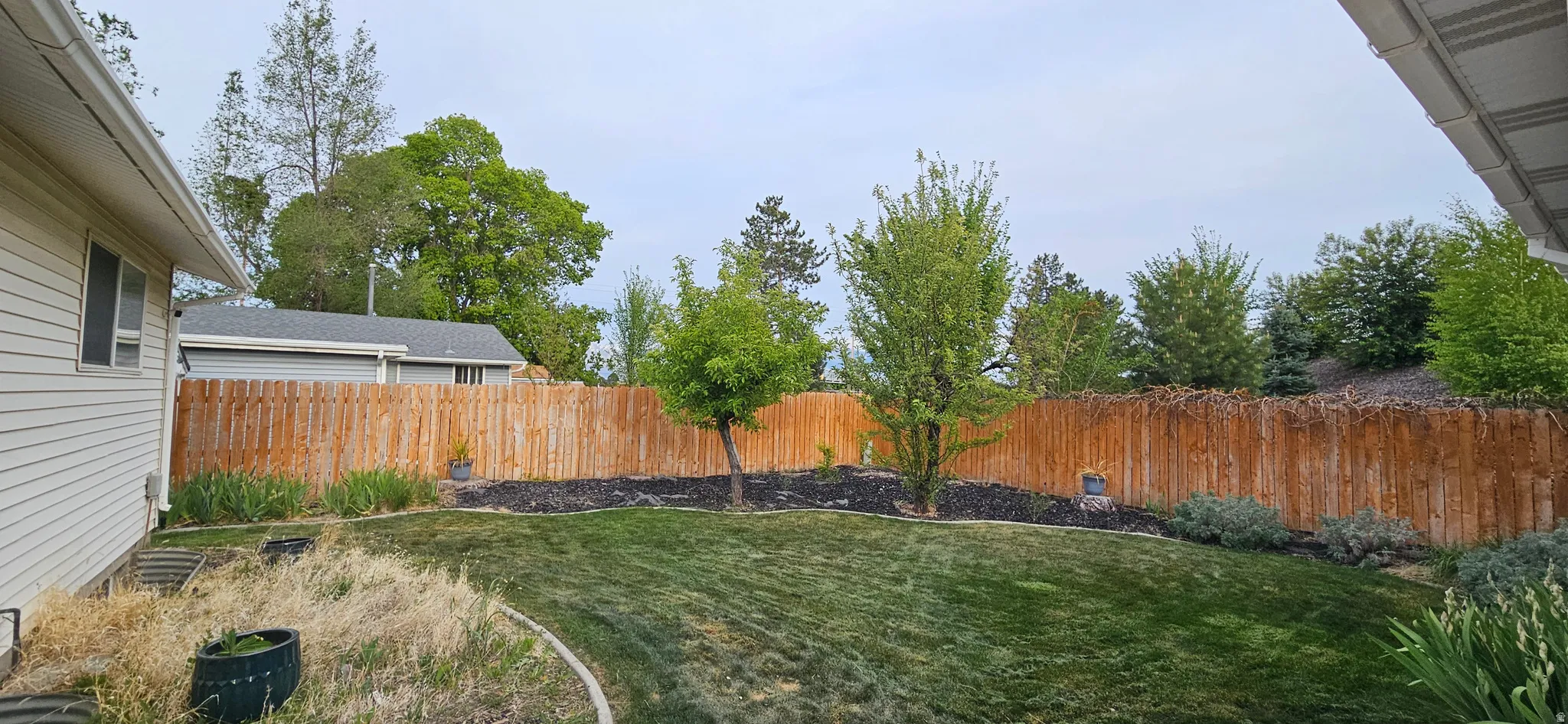 View of fenced backyard