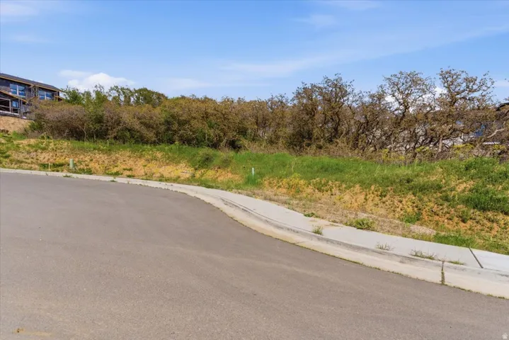 View of asphalt street featuring curbs and sidewalks