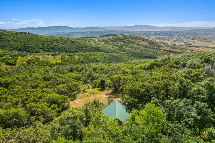 Aerial view of a mountain backdrop and a heavily wooded area