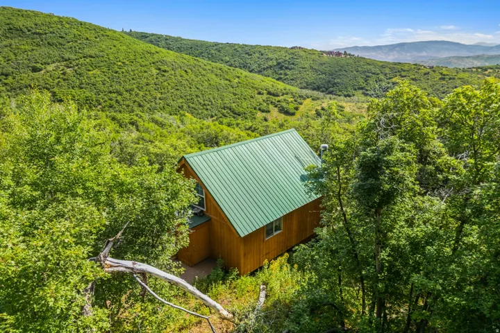 View of subject property featuring a heavily wooded area and a mountain backdrop