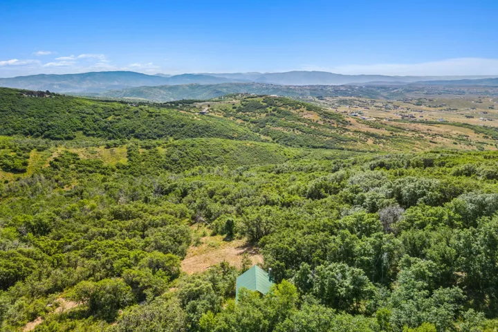Mountain view featuring a heavily wooded area