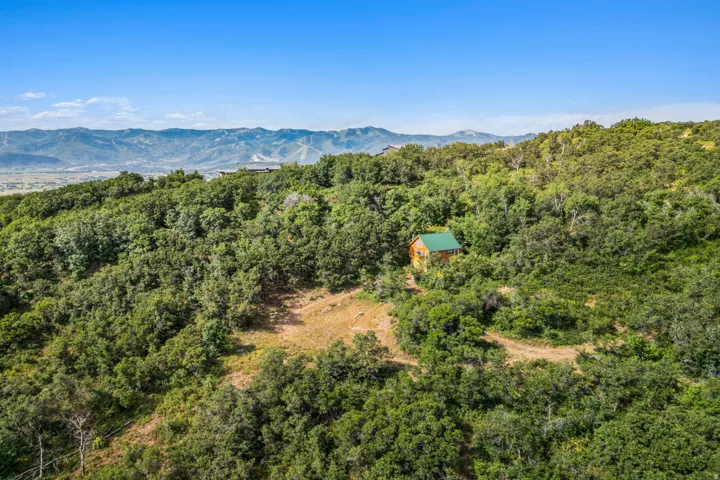 Drone / aerial view of a mountainous background and a heavily wooded area