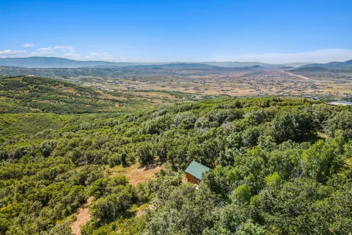 Bird's eye view of a mountainous background and a forest