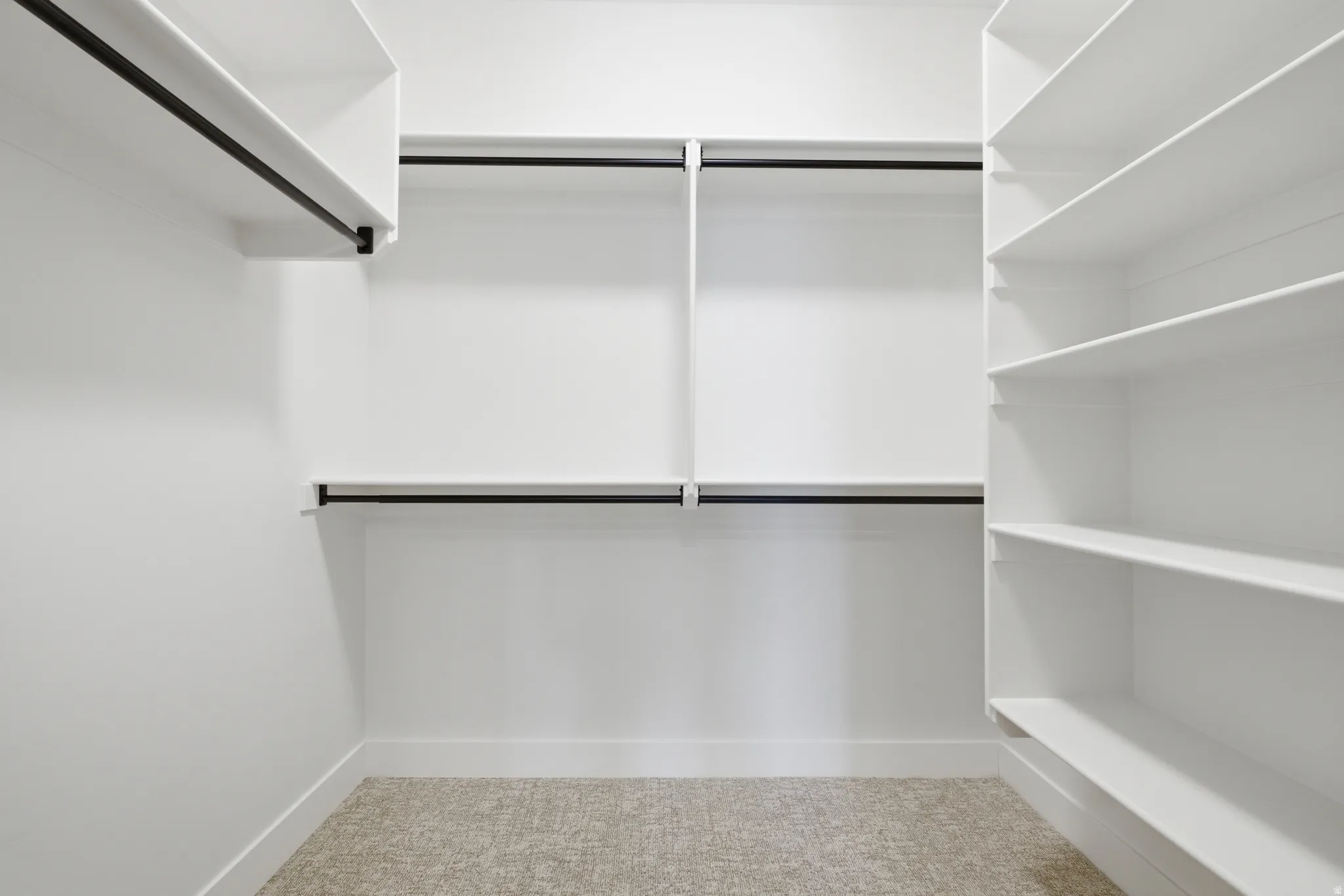 Walk in closet featuring carpet