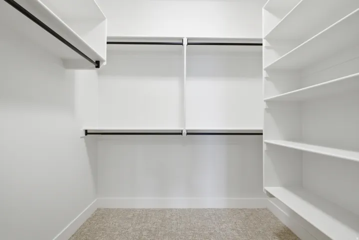 Walk in closet featuring carpet