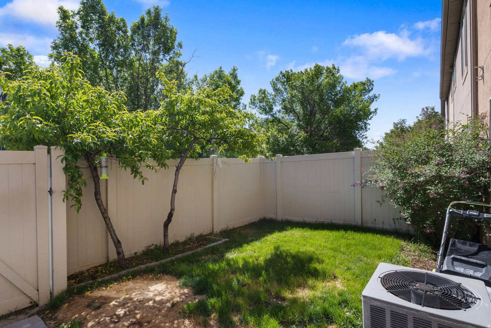 View of fenced backyard