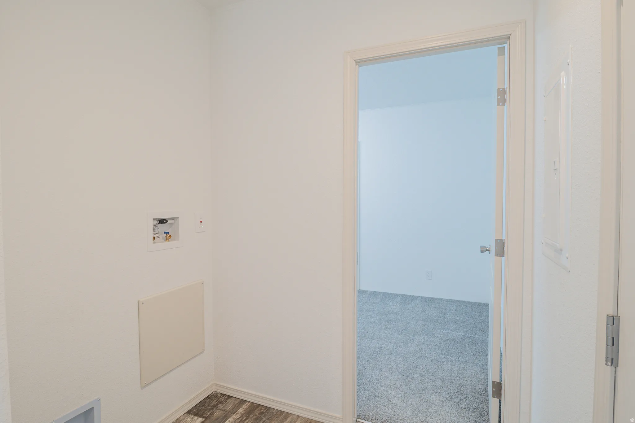 Laundry area featuring hookup for a washing machine, light carpet, and light wood finished floors