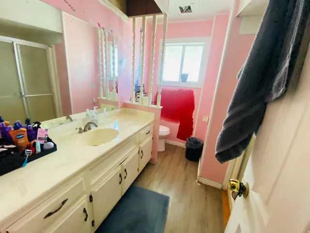 Bathroom featuring vanity, light wood-style floors, and a stall shower