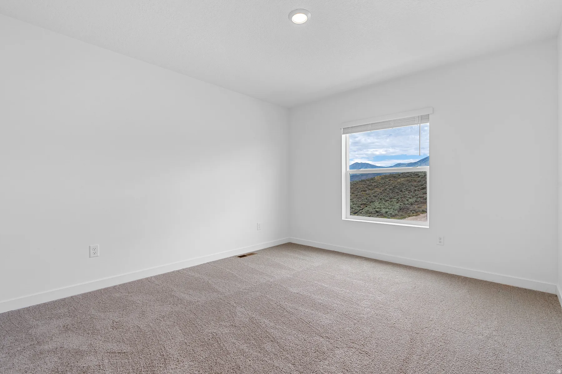 Unfurnished room with light carpet and a mountain view