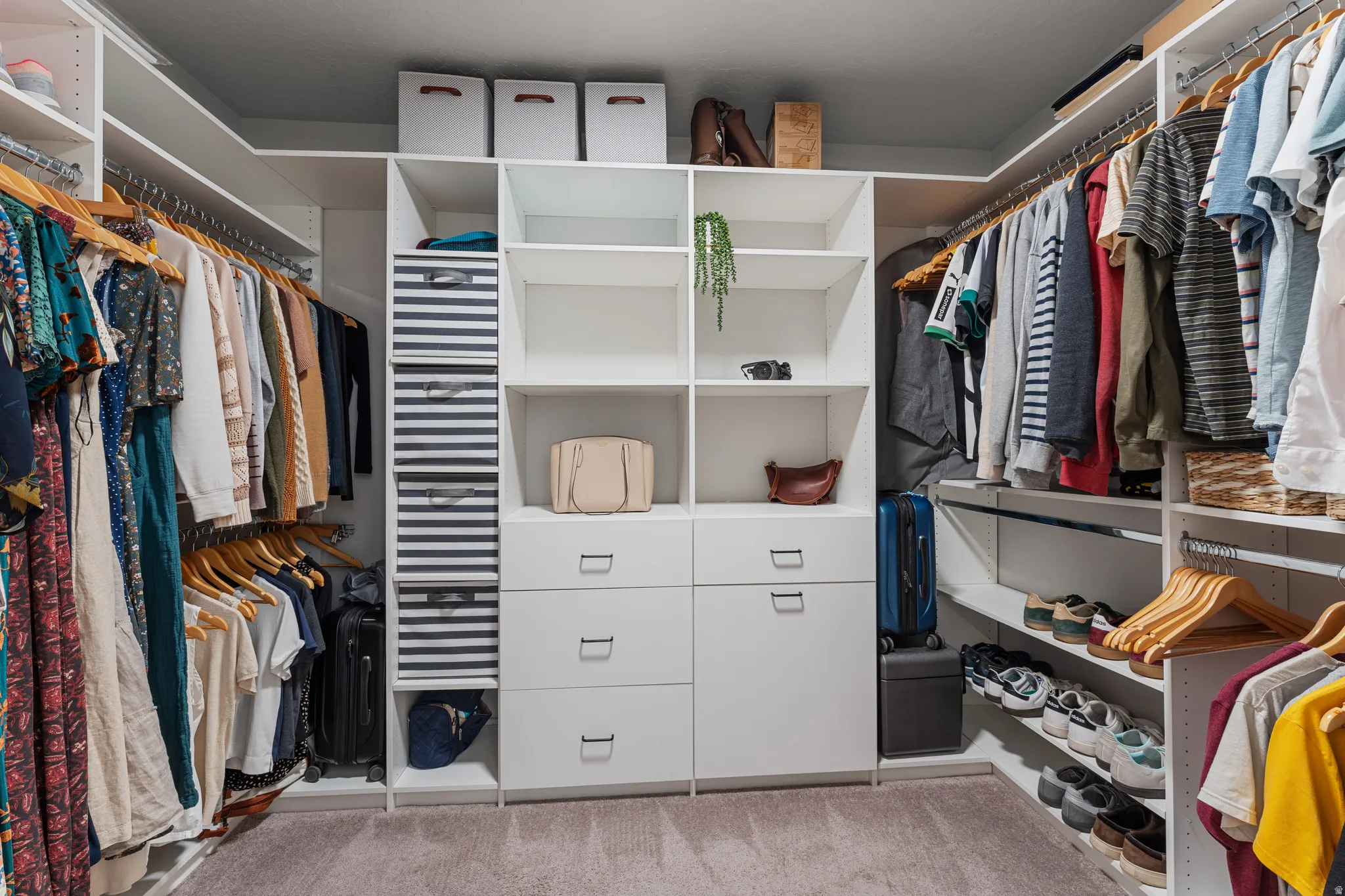 Walk in closet with light carpet