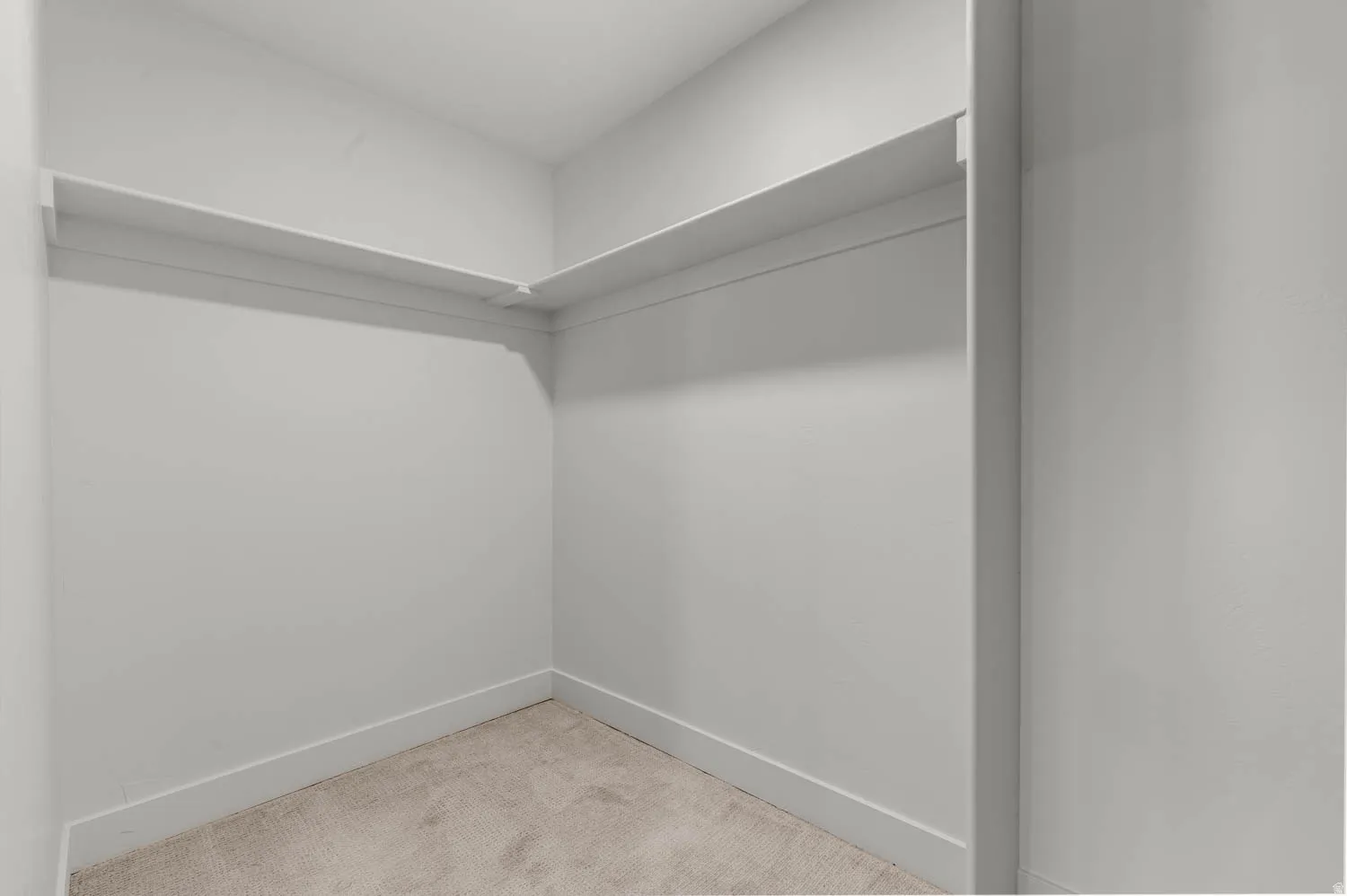 Walk in closet featuring light carpet