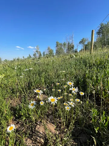 300 Maggi Rd, Montpelier, Idaho 83254