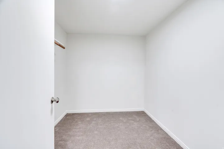 Large closet for Den/office #1