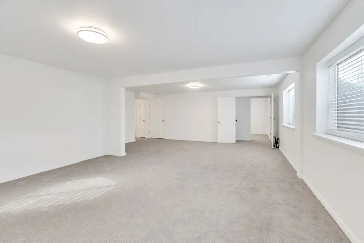 Basement living room