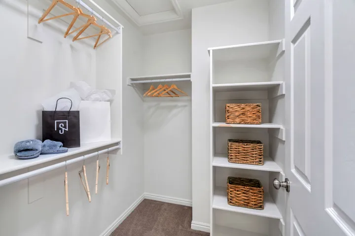 Primary suite Walk in closet with dark carpet