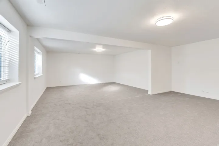 Large basement living room with kitchen hookups.