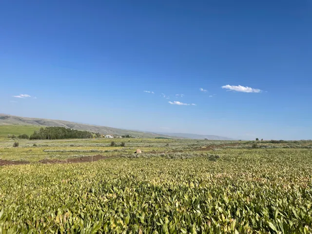 400 Maggi Rd, Montpelier, Idaho 83254