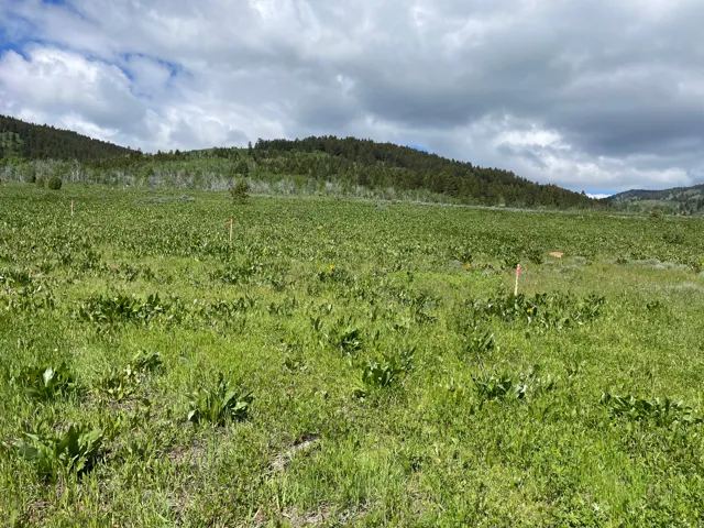 400 Maggi Rd, Montpelier, Idaho 83254