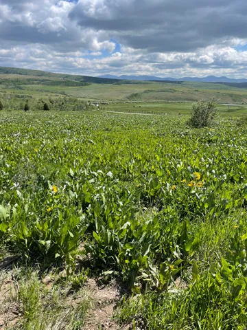 400 Maggi Rd, Montpelier, Idaho 83254