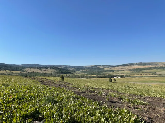 400 Maggi Rd, Montpelier, Idaho 83254