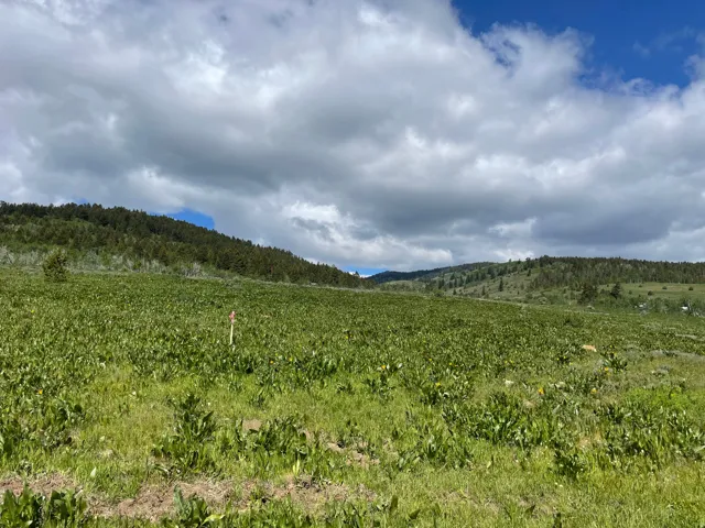 400 Maggi Rd, Montpelier, Idaho 83254