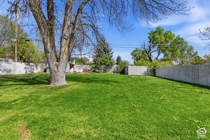 View of fenced backyard