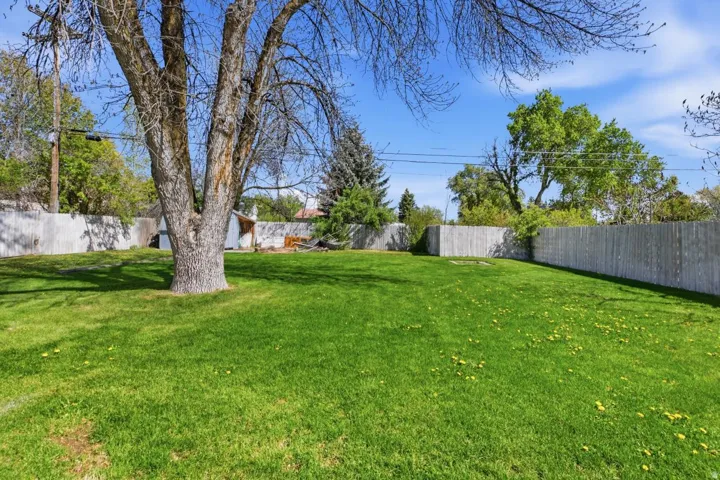 View of fenced backyard